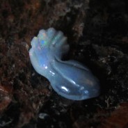 Fish Gemstone Carving, Lightning Ridge Black Opal